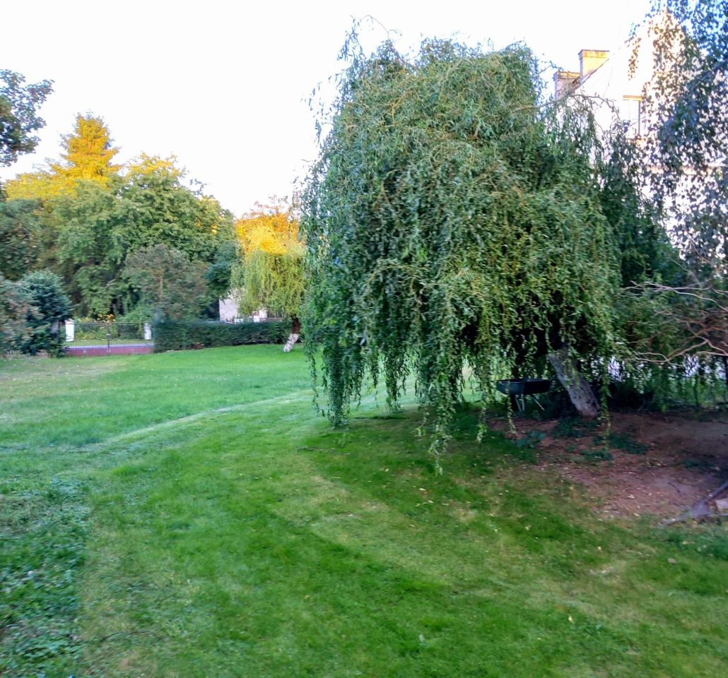 dom wolnostojący, 10 pokoi Jaźwina. Zdjęcie 63