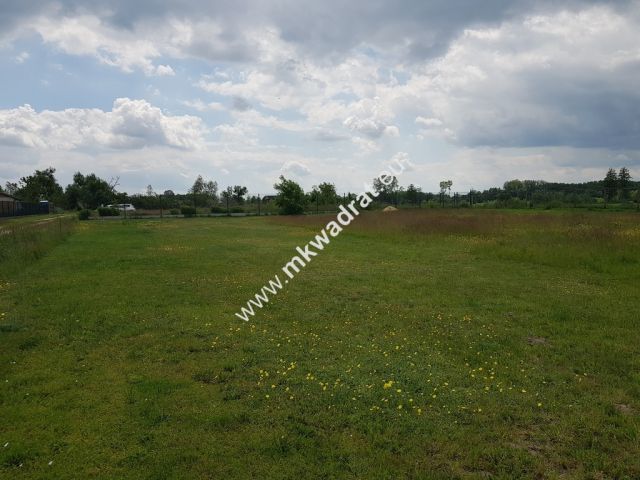 Działka budowlana Terenia. Zdjęcie 3