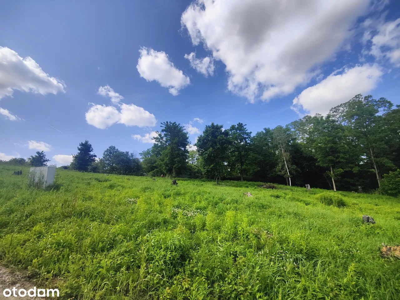 Działka budowlana Trzebnica. Zdjęcie 4