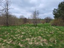 Działka siedliskowa Tomaryny. Zdjęcie 1