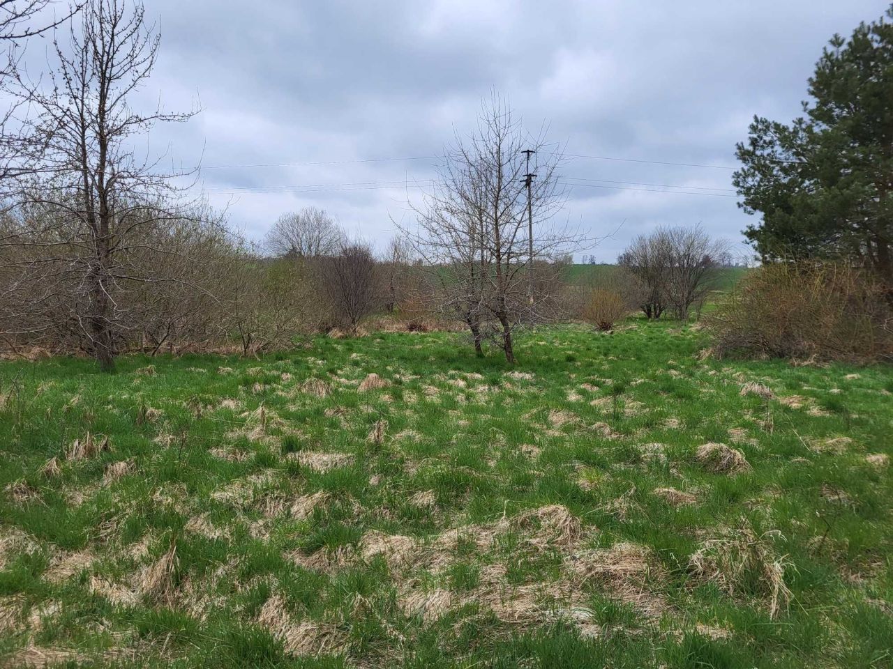 Działka siedliskowa Tomaryny. Zdjęcie 2