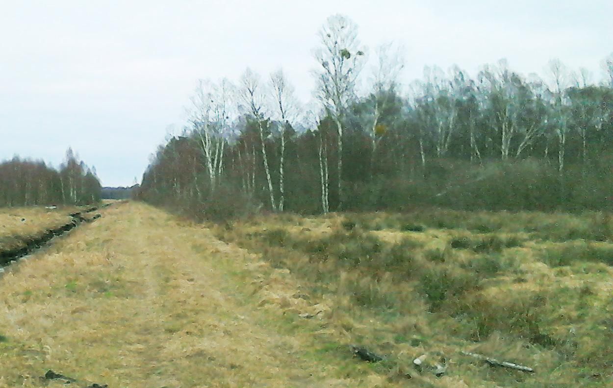 Działka rolna Pobłocie. Zdjęcie 11