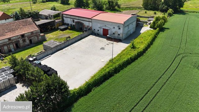 Hala/magazyn Siedlce. Zdjęcie 1