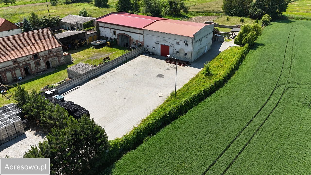 Hala/magazyn Siedlce