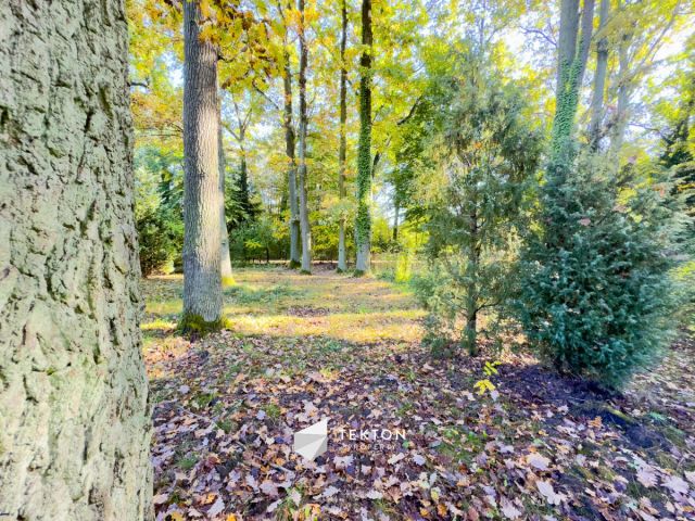 Działka leśna Warszawa Stara Miłosna, ul. Torfowa. Zdjęcie 7