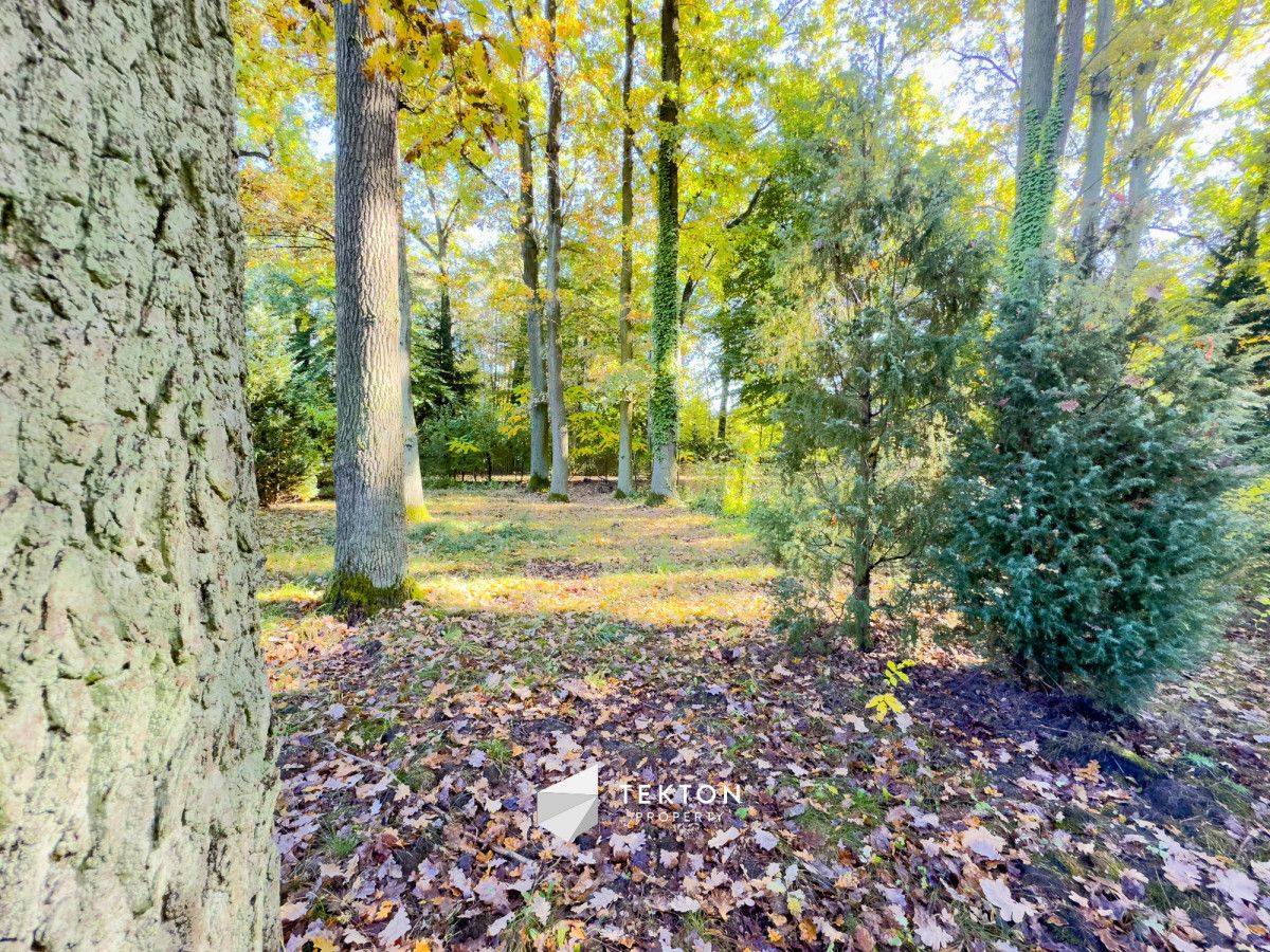 Działka leśna Warszawa Stara Miłosna, ul. Torfowa. Zdjęcie 7