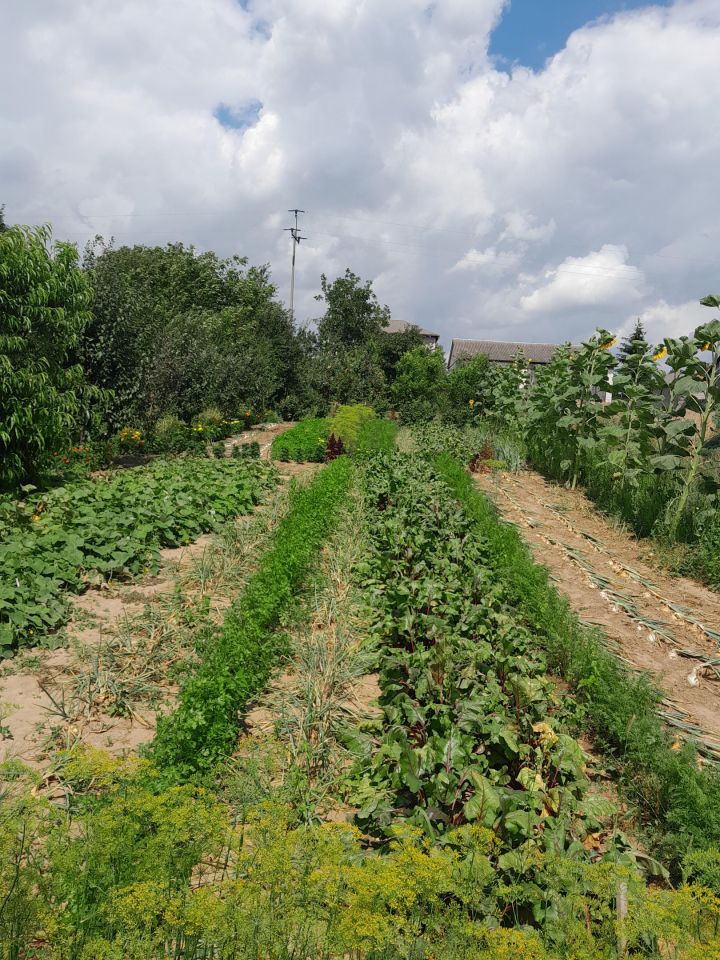 dom wolnostojący, 4 pokoje Grabowiec-Góra. Zdjęcie 2