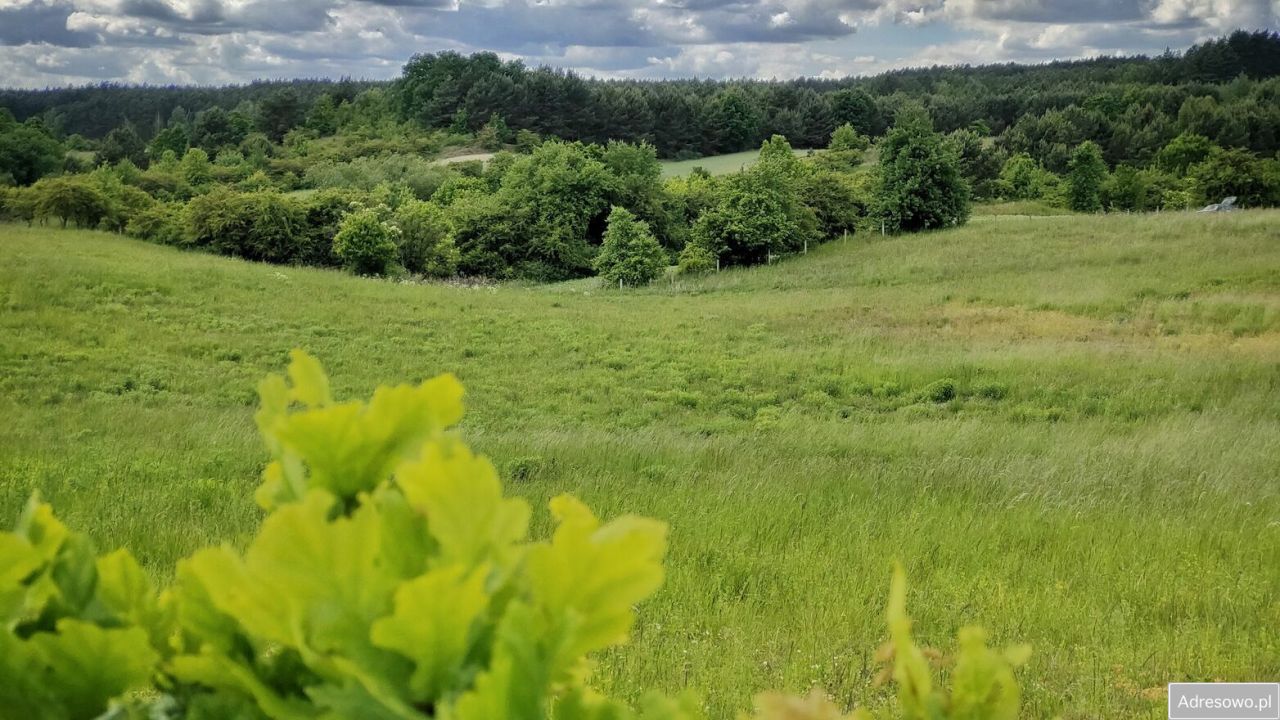 Działka rolna Łęgowo. Zdjęcie 10