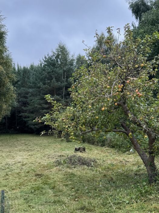 Działka budowlana Potęgowo, ul. Racławicka. Zdjęcie 8
