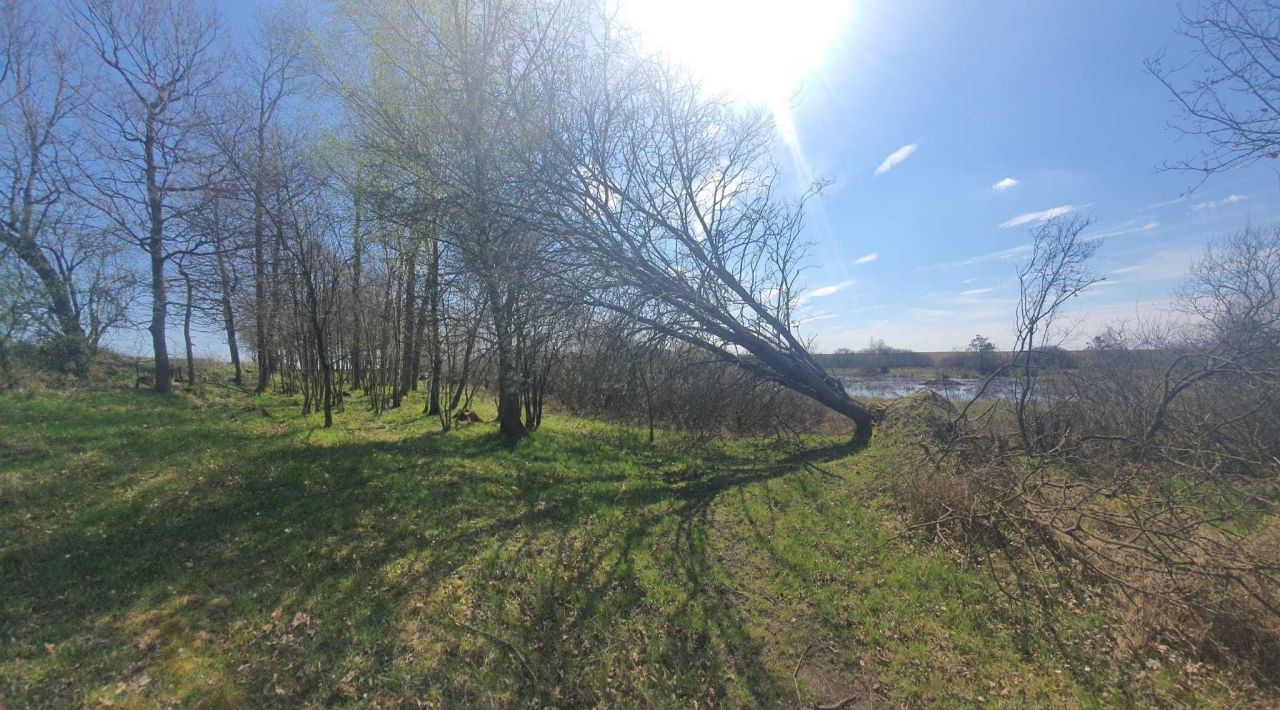 Działka Jezierze. Zdjęcie 3