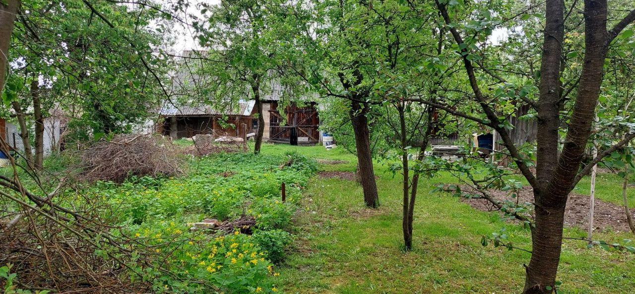 bliźniak Borków, ul. Sosnowa. Zdjęcie 8