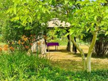 Działka rod Wschowa, al. PCK. Zdjęcie 1