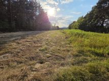 Działka inwestycyjna Suków Borki. Zdjęcie 3