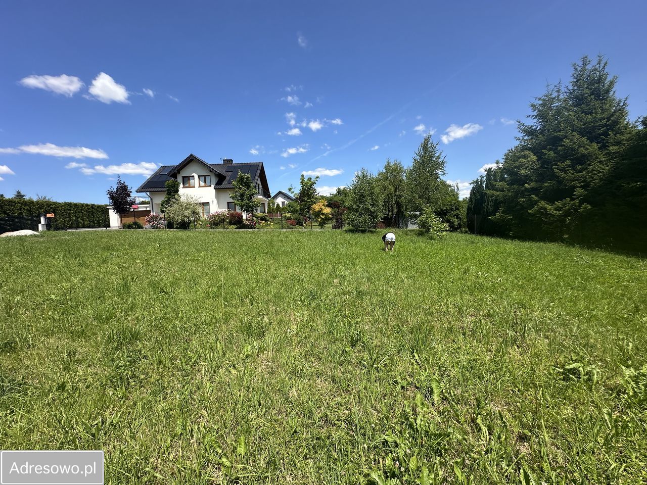 Działka budowlana Sułków. Zdjęcie 9