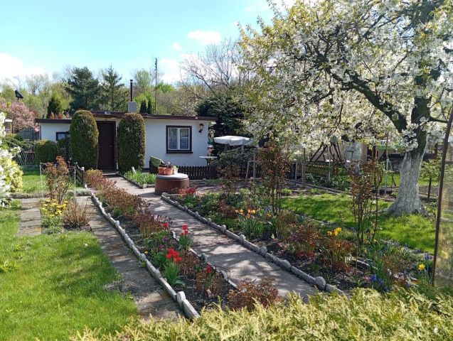 Działka rod Zabrze. Zdjęcie 1