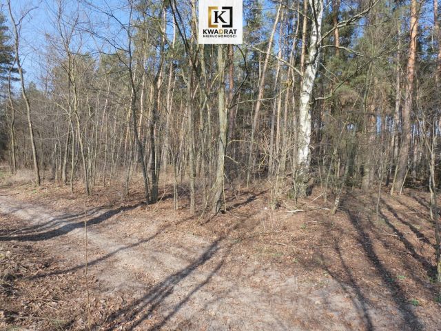 Działka budowlana Budy Wielgoleskie. Zdjęcie 3