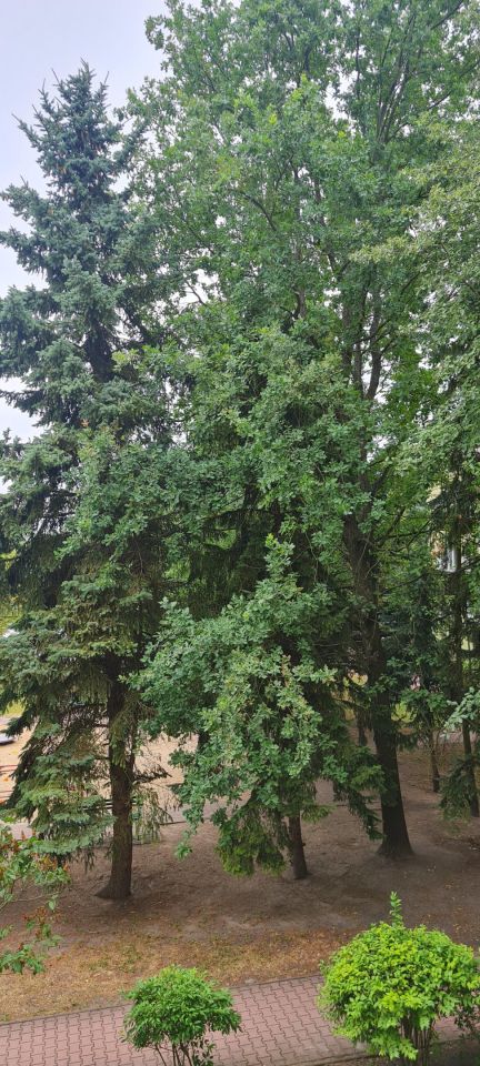 Mieszkanie 2-pokojowe Chełm, ul. Wolności. Zdjęcie 7