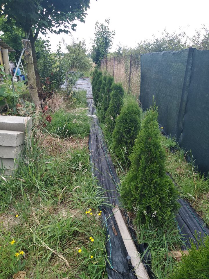 Działka rolno-budowlana Bronice. Zdjęcie 4