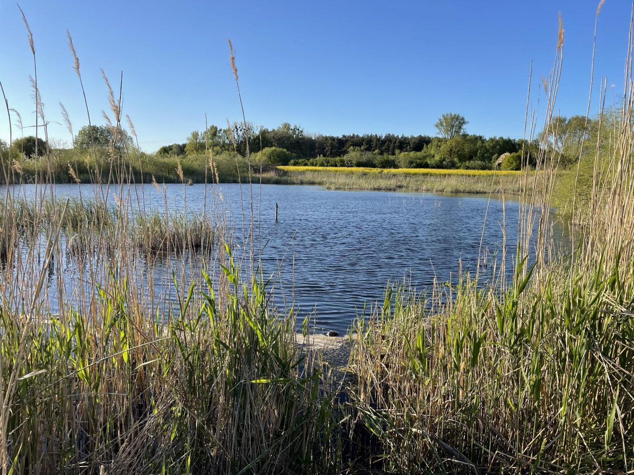 Działka budowlana Korzeniewo, ul. Malownicza. Zdjęcie 5
