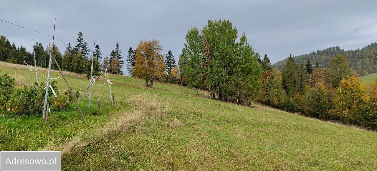 Działka rolna Glinka. Zdjęcie 6