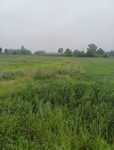 Działka budowlana Ruszowice, ul. Seledynowa. Zdjęcie 1