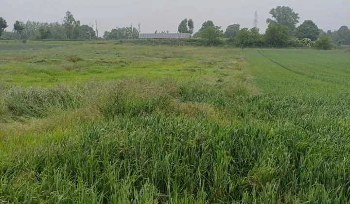 Działka budowlana Ruszowice, ul. Seledynowa