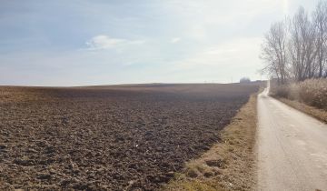 Działka rolna Piotrkowice Małe Kresy