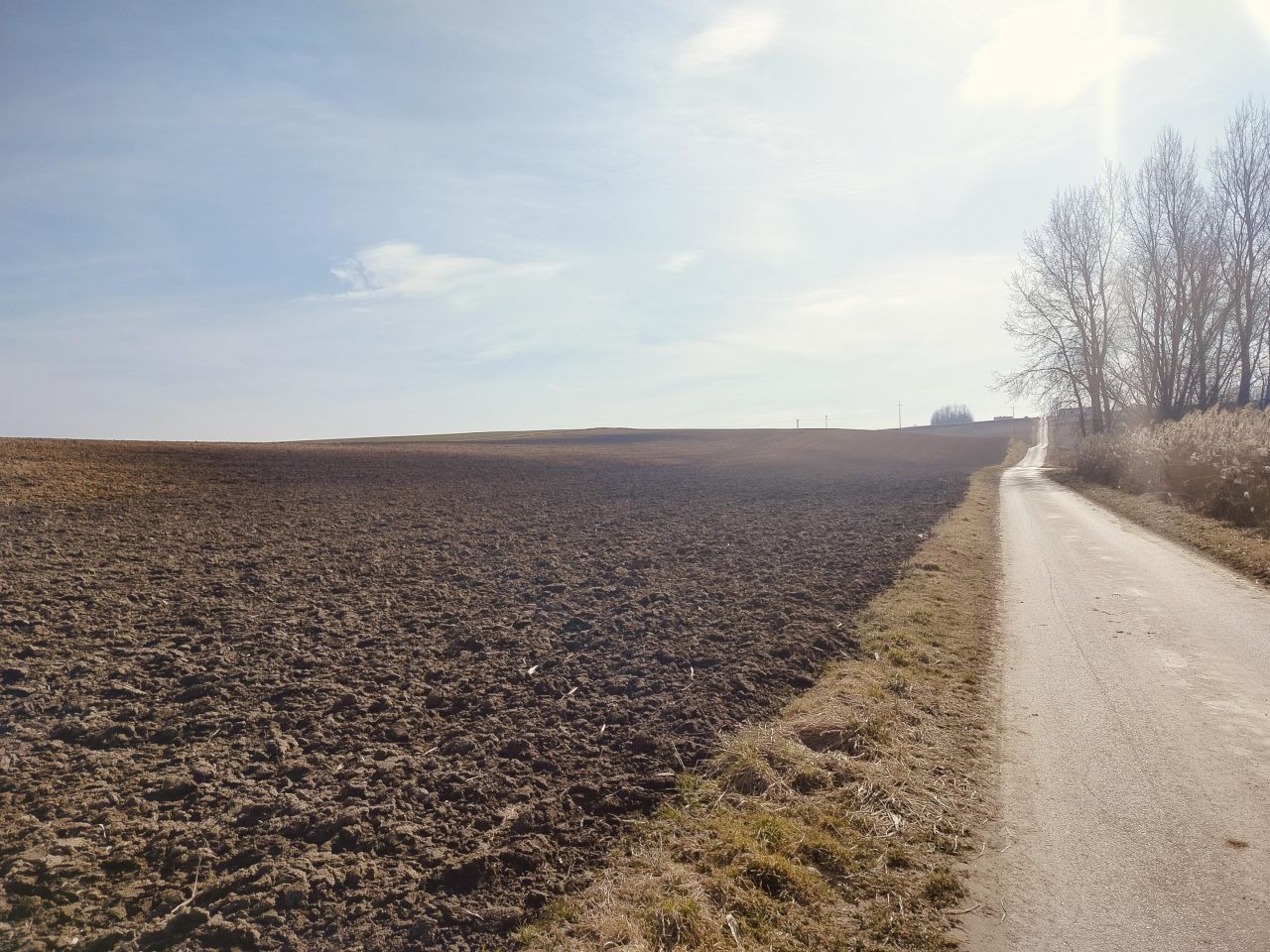 Działka rolna Piotrkowice Małe Kresy. Zdjęcie 2