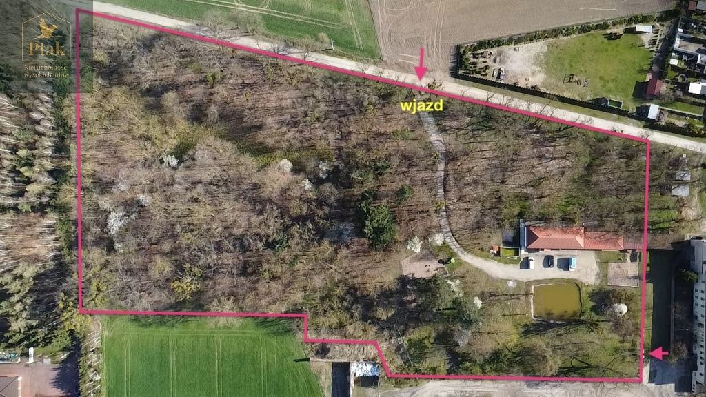 Działka budowlana Luciny. Zdjęcie 2