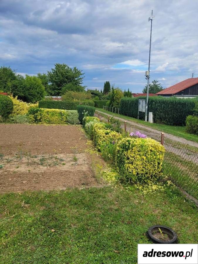 Działka rod Lubin Przylesie. Zdjęcie 7