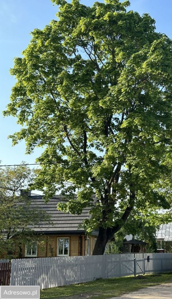 siedlisko, 5 pokoi Skupowo. Zdjęcie 18