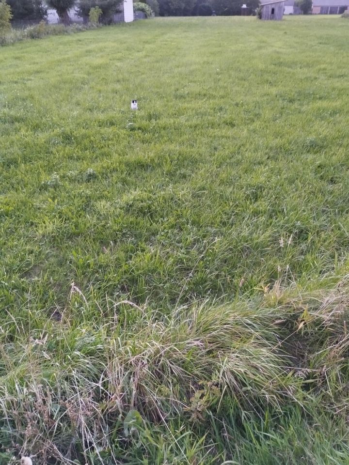 Działka budowlana Obłudzin