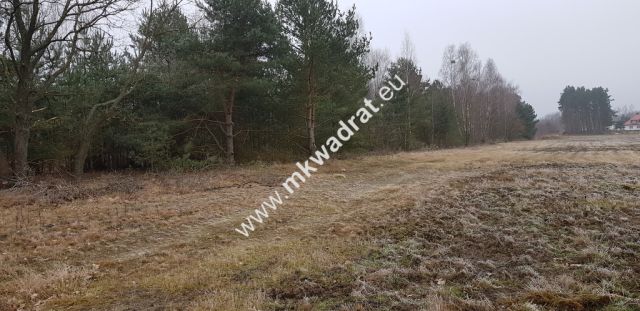 Działka budowlana Owczarnia. Zdjęcie 1