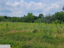 Działka inwestycyjna Białystok Krywlany. Zdjęcie 4