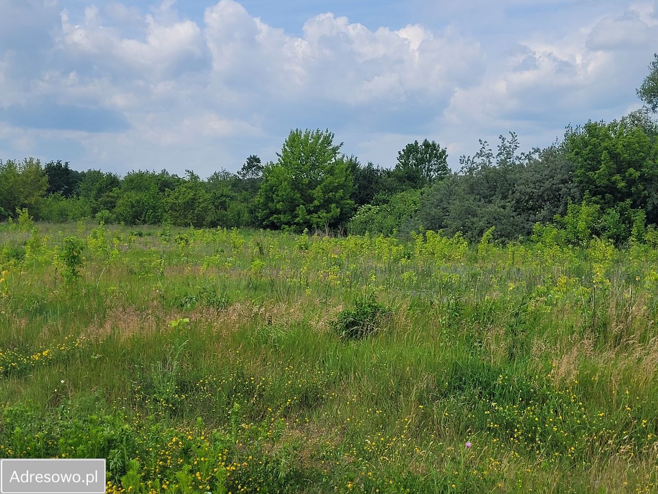 Działka inwestycyjna Białystok Krywlany. Zdjęcie 5