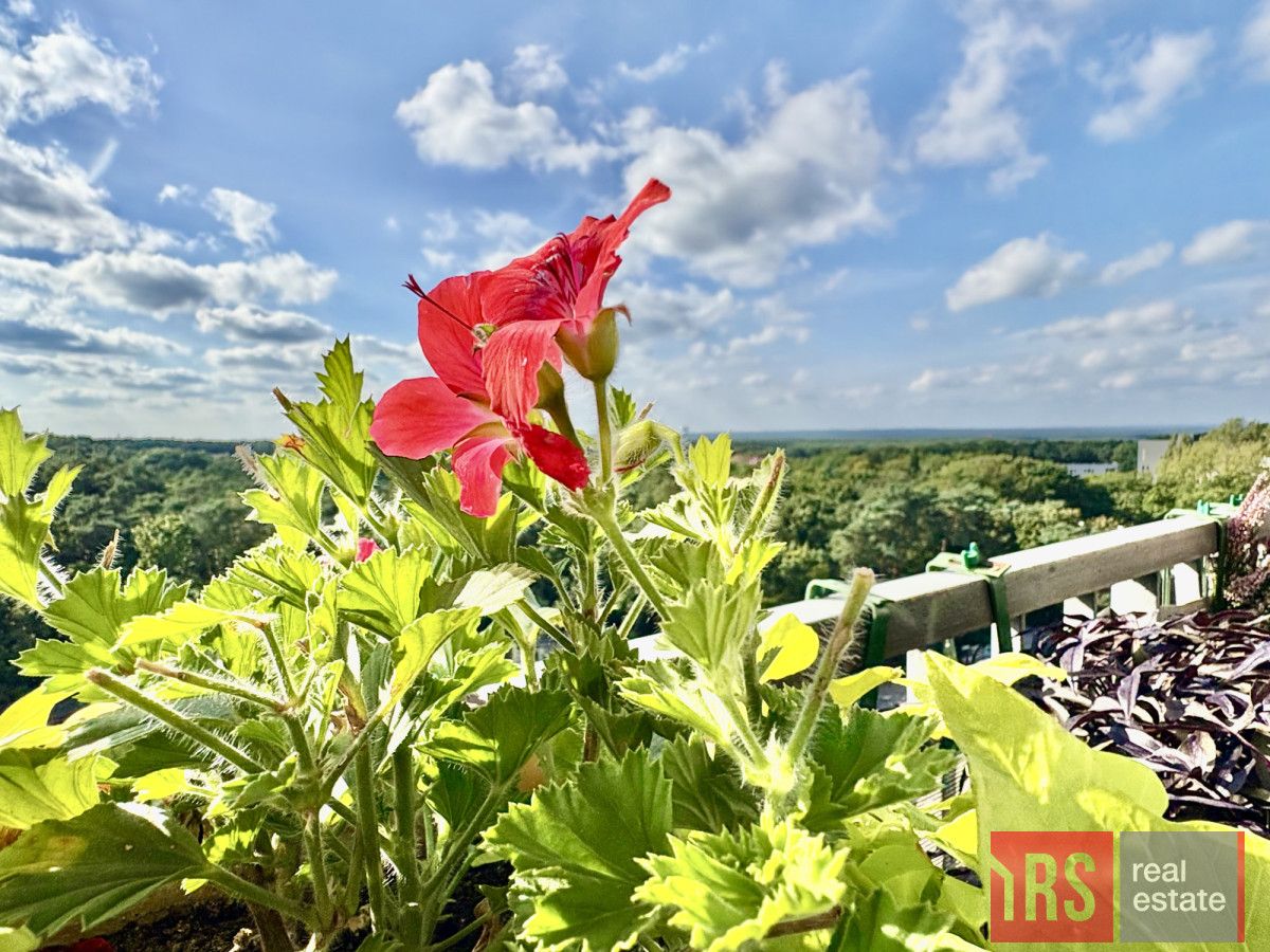 Mieszkanie 3-pokojowe Zielona Góra, ul. Kraljevska. Zdjęcie 20