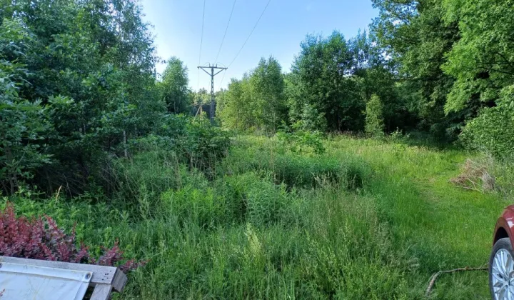 Działka rolno-budowlana Bełchatów Grocholice, ul. gen. Ludwika Czyżewskiego