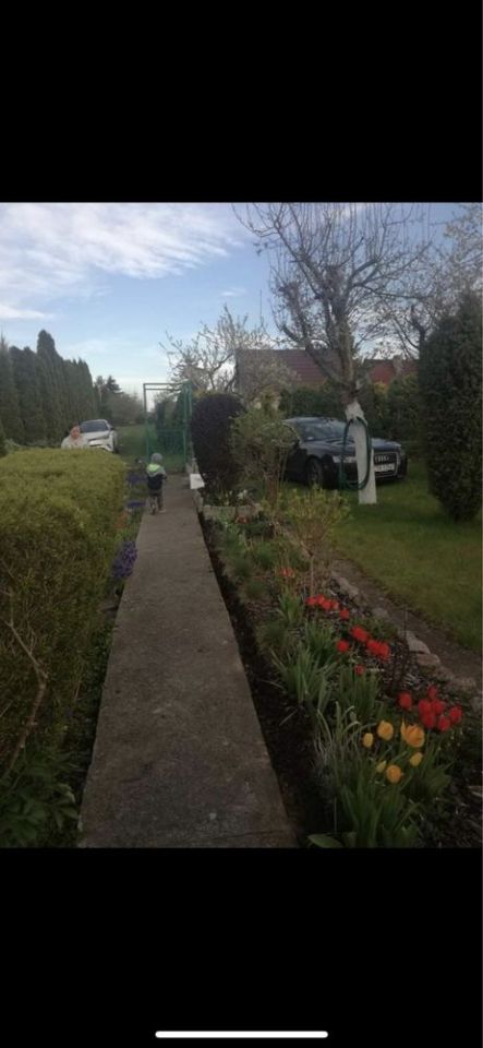 Działka rod Rogówko. Zdjęcie 3