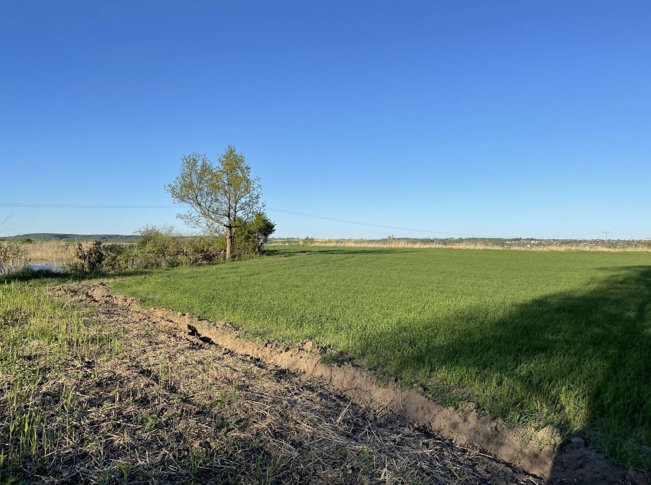 Działka budowlana Korzeniewo, ul. Malownicza. Zdjęcie 3