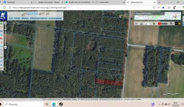 Działka leśna Pieńki