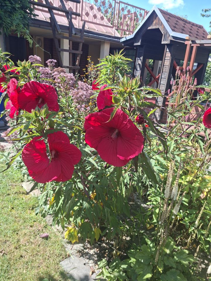 Działka rekreacyjna Wrocław Fabryczna, ul. Wojanowska. Zdjęcie 17