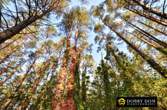 dom letniskowy, 1 pokój Giby. Zdjęcie 6
