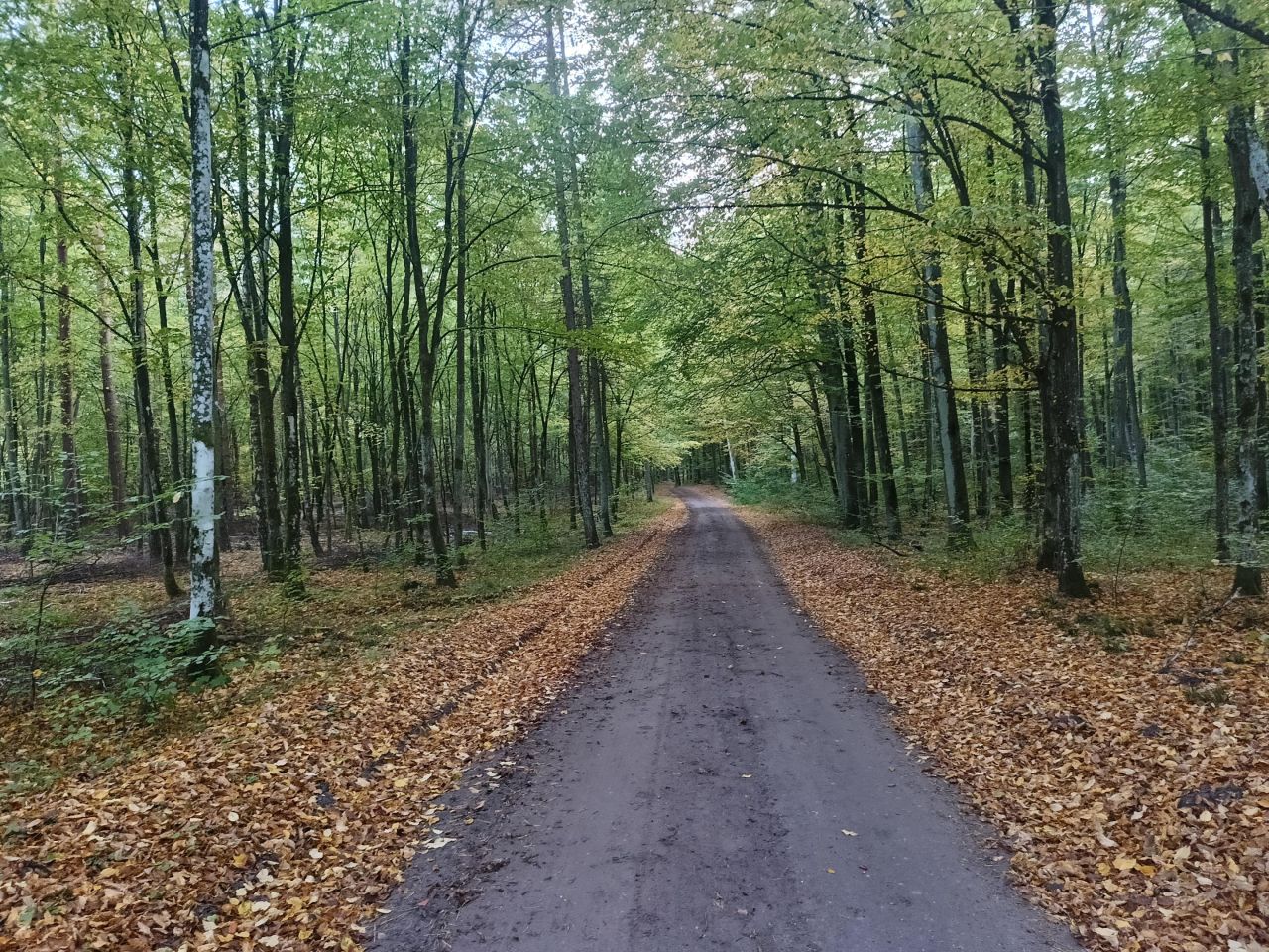 dom letniskowy, 2 pokoje Ruś. Zdjęcie 31