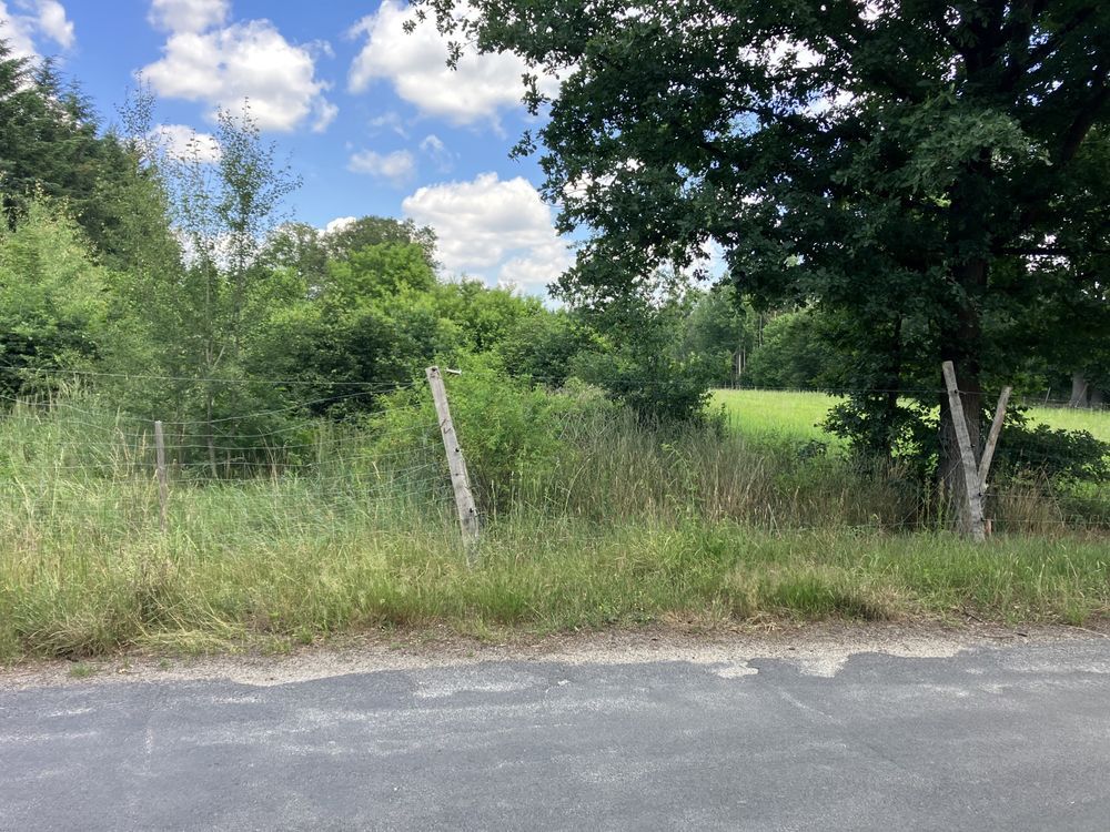 Działka rolno-budowlana Łozy. Zdjęcie 7