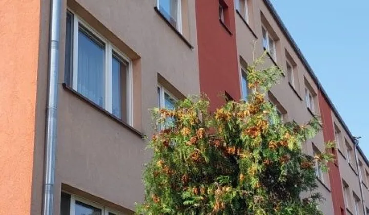 Mieszkanie 2-pokojowe Szczucin