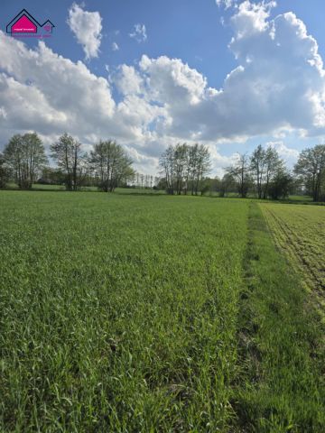 Działka rekreacyjna Skrzynka. Zdjęcie 6