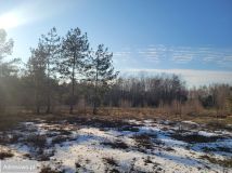 Działka budowlana Grabów nad Pilicą, ul. Polna. Zdjęcie 1