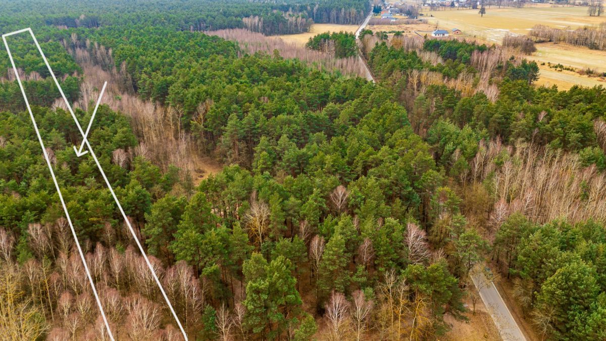 Działka leśna Szczerców, ul. Leśna. Zdjęcie 1