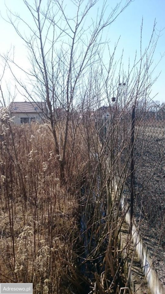 Działka inwestycyjna Warszawa Aleksandrów, ul. Zagórzańska. Zdjęcie 12