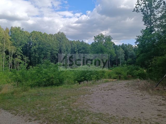 Działka Warszawa Wawer. Zdjęcie 5